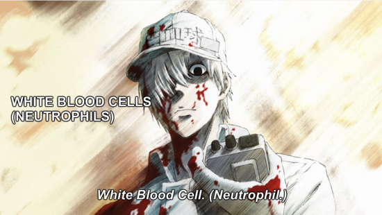 Manga Review – Cells at Work!